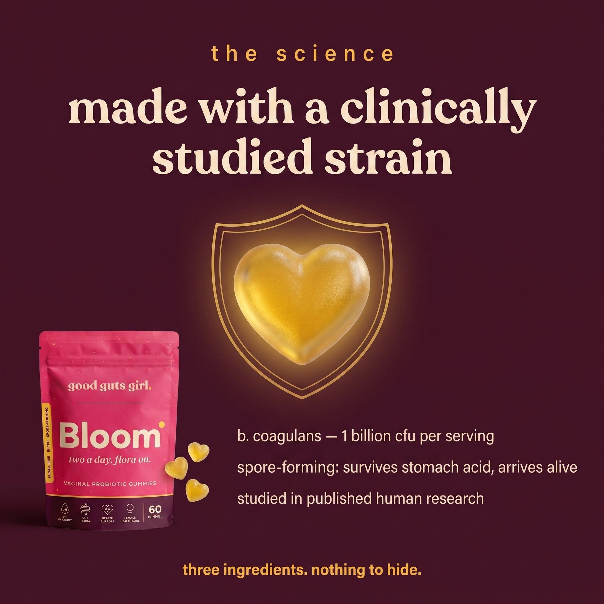 made with a clinically studied strain — b. coagulans 1 billion cfu, spore-forming, survives stomach acid